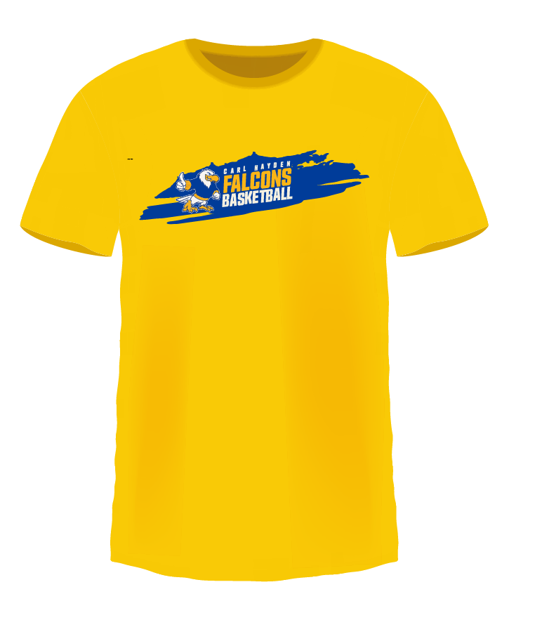 Falcons Basketball Paint Stroke T-Shirt