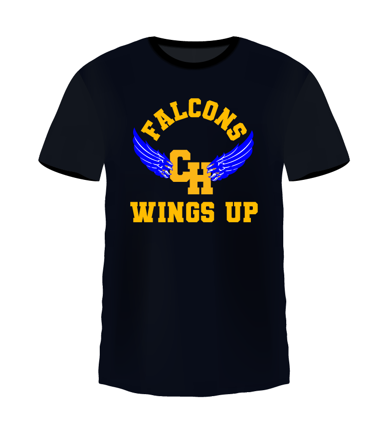 Falcons Wings Up
