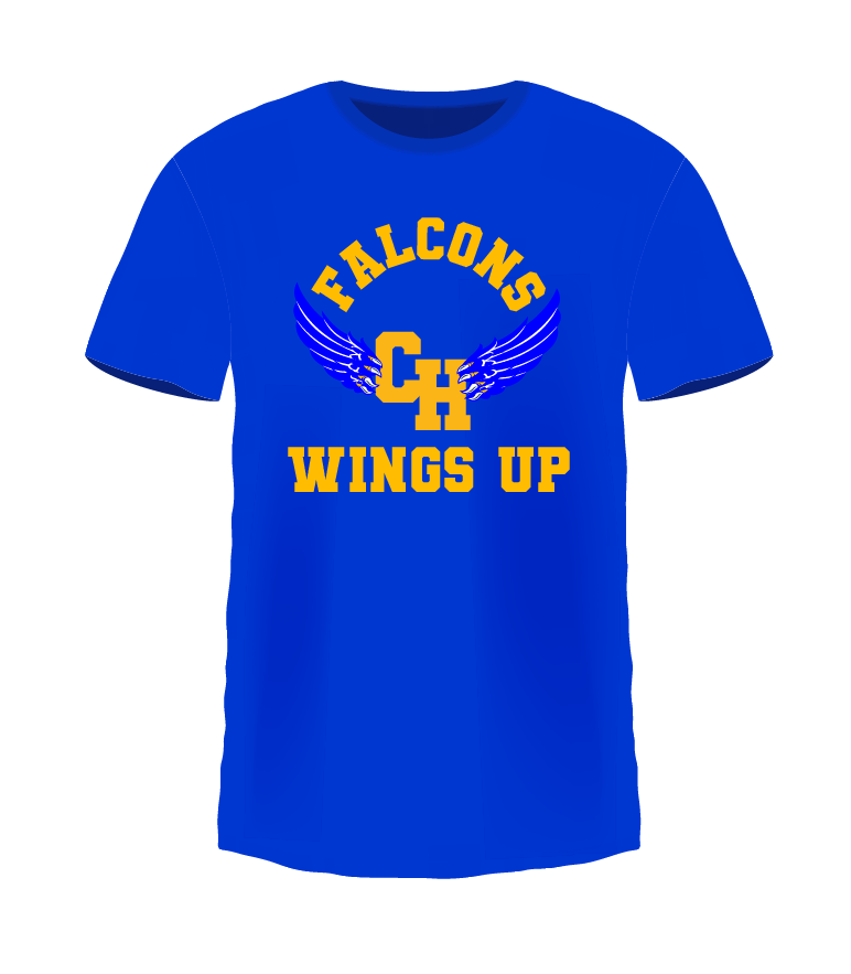 Falcons Wings Up