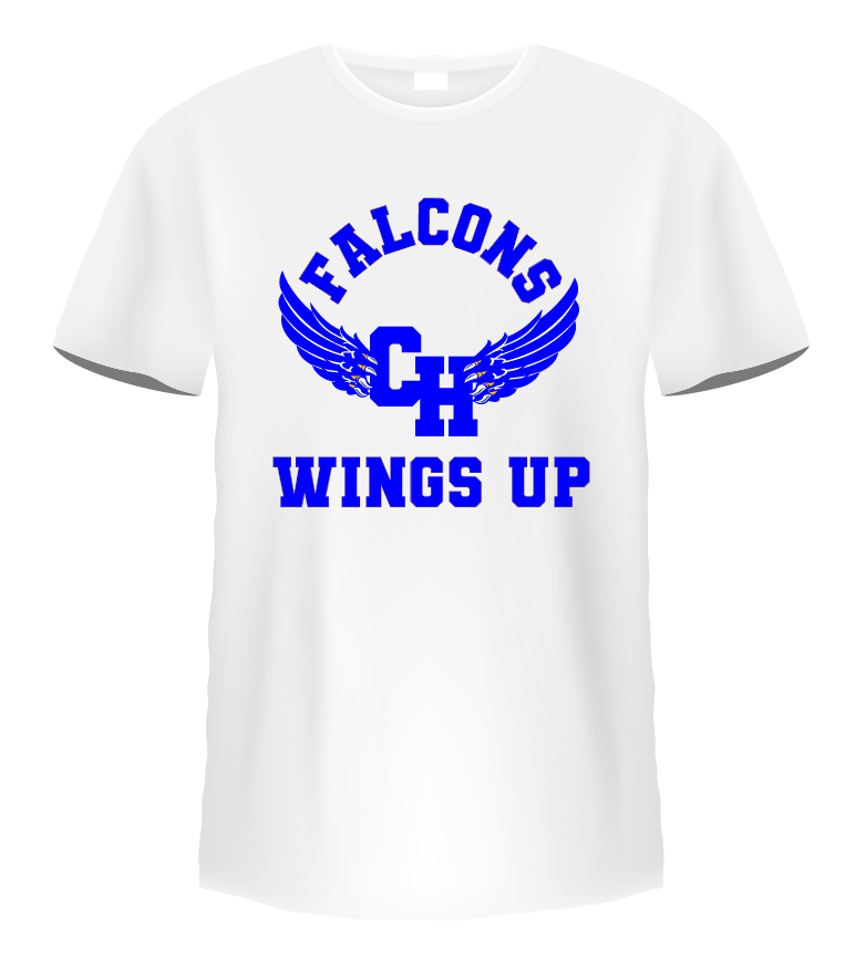 Falcons Wings Up