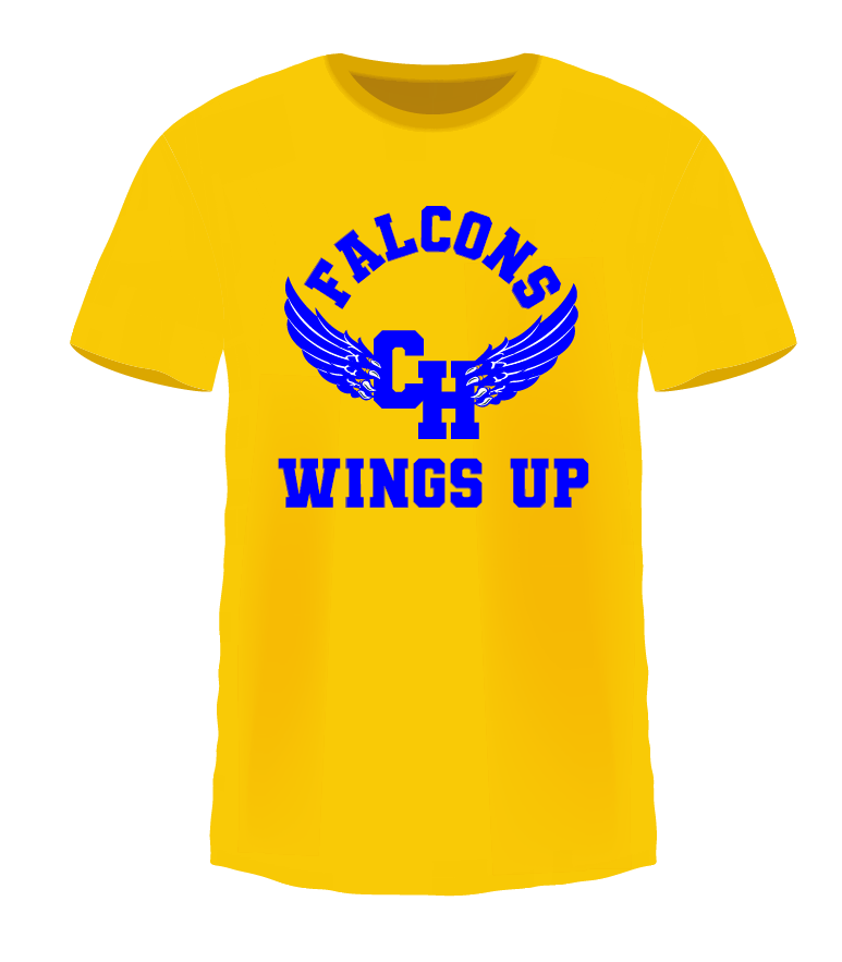 Falcons Wings Up